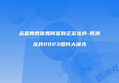 品鉴师教你如何鉴别正宗龙井-西湖龙井2023图片大曝光