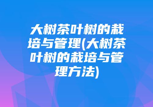 大树茶叶树的栽培与管理(大树茶叶树的栽培与管理方法)