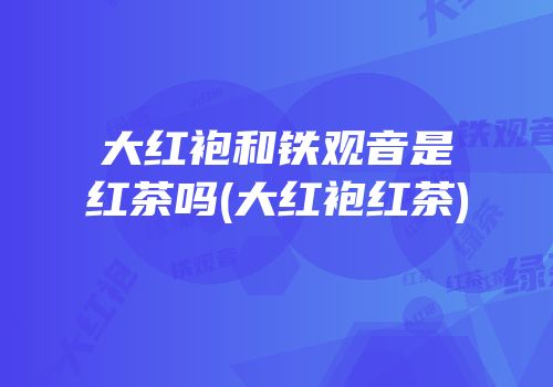 大红袍和铁观音是红茶吗(大红袍红茶)