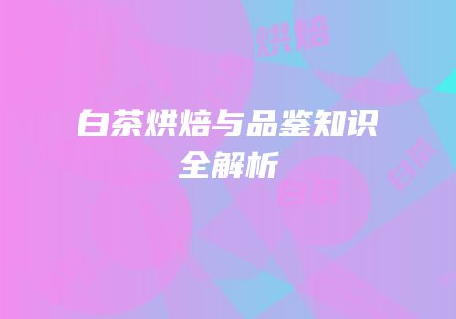 白茶烘焙与品鉴知识全解析
