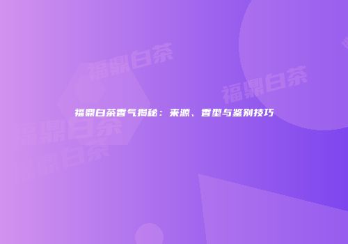 福鼎白茶香气揭秘：来源、香型与鉴别技巧