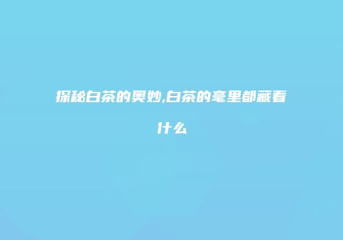 探秘白茶的奥妙,白茶的毫里都藏着什么