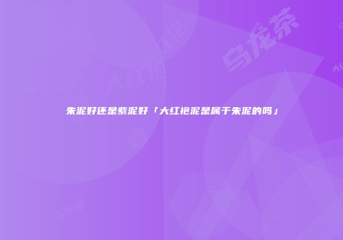 朱泥好还是紫泥好「大红袍泥是属于朱泥的吗」