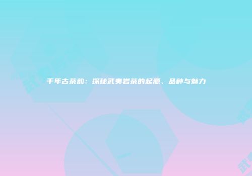 千年古茶韵：探秘武夷岩茶的起源、品种与魅力