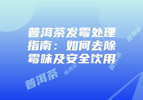 普洱茶发霉处理指南：如何去除霉味及安全饮用