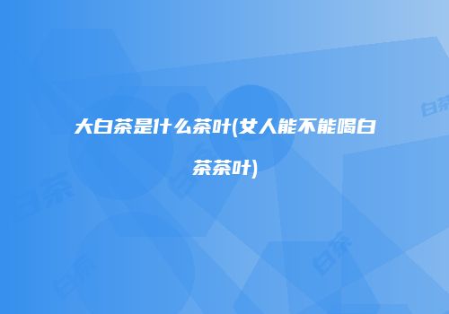 大白茶是什么茶叶(女人能不能喝白茶茶叶)