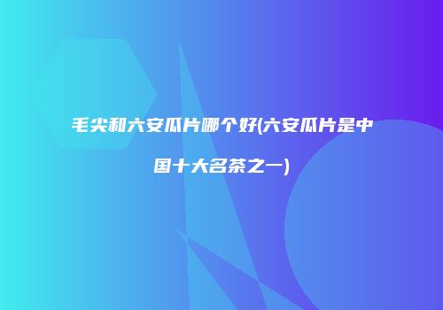 毛尖和六安瓜片哪个好(六安瓜片是中国十大名茶之一)