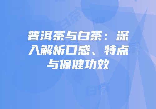 普洱茶与白茶：深入解析口感、特点与保健功效