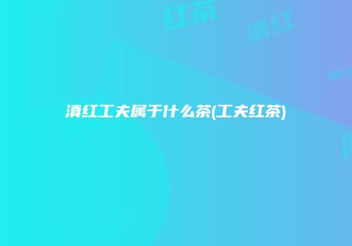 滇红工夫属于什么茶(工夫红茶)