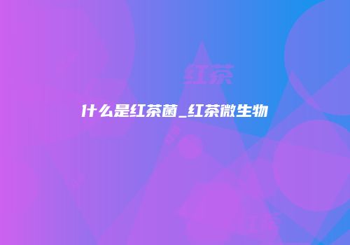 什么是红茶菌_红茶微生物