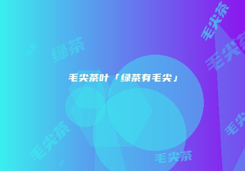 毛尖茶叶「绿茶有毛尖」