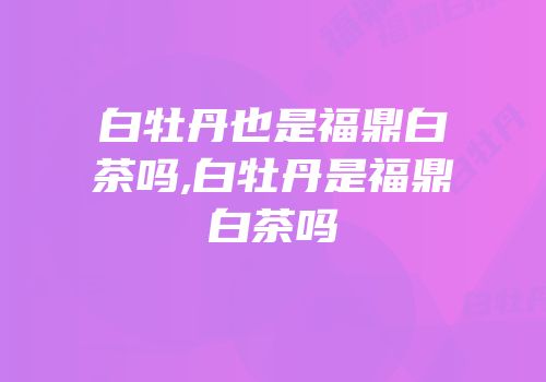 白牡丹也是福鼎白茶吗,白牡丹是福鼎白茶吗