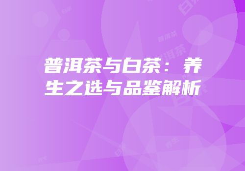 普洱茶与白茶：养生之选与品鉴解析