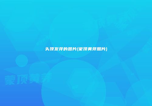 头顶发芽的图片(蒙顶黄芽照片)
