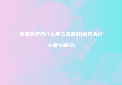 普洱茶适合什么季节喝最好(铁观音什么季节喝好)