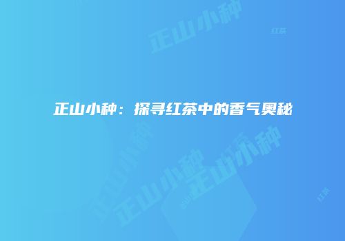 正山小种：探寻红茶中的香气奥秘