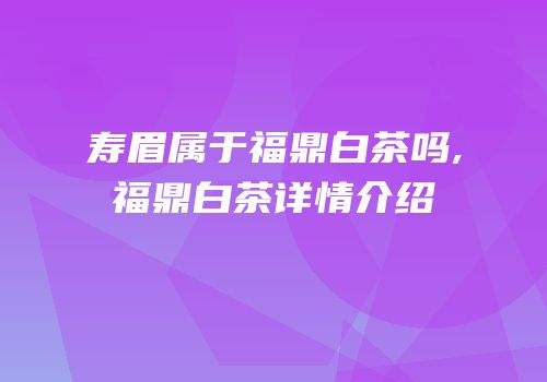 寿眉属于福鼎白茶吗,福鼎白茶详情介绍