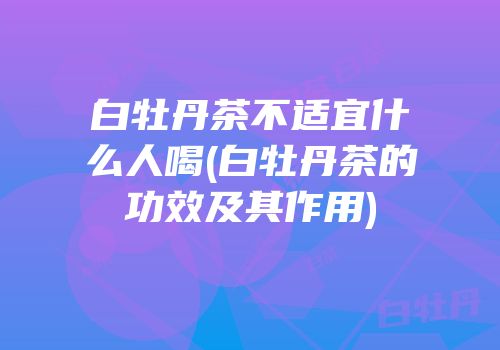 白牡丹茶不适宜什么人喝(白牡丹茶的功效及其作用)
