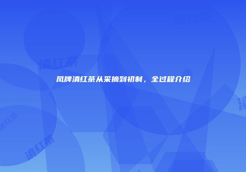 凤牌滇红茶从采摘到初制，全过程介绍