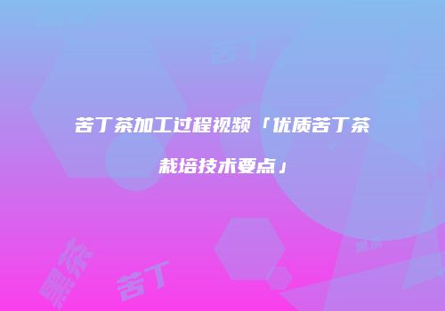 苦丁茶加工过程视频「优质苦丁茶栽培技术要点」