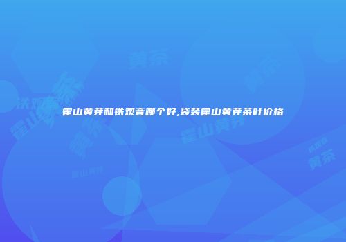 霍山黄芽和铁观音哪个好,袋装霍山黄芽茶叶价格