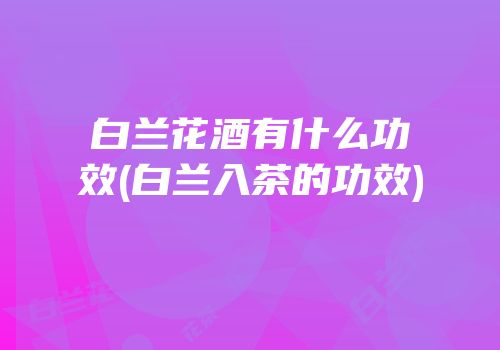白兰花酒有什么功效(白兰入茶的功效)