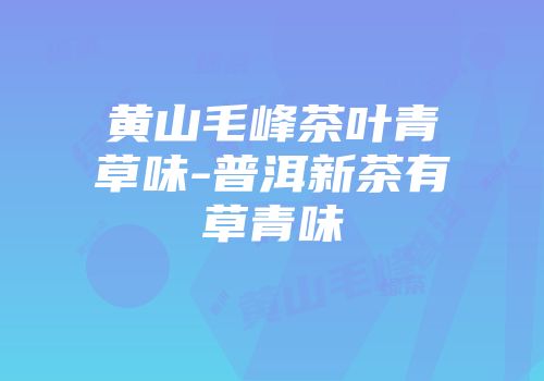 黄山毛峰茶叶青草味-普洱新茶有草青味