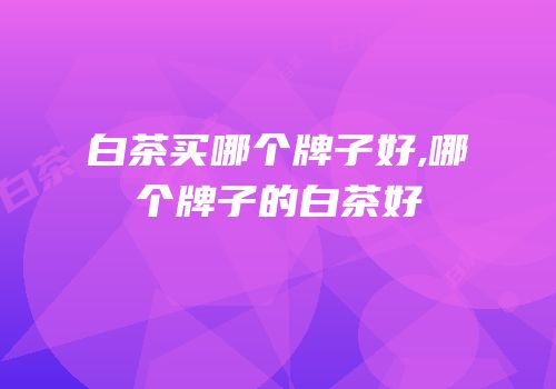 白茶买哪个牌子好,哪个牌子的白茶好