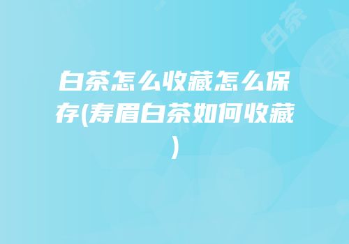 白茶怎么收藏怎么保存(寿眉白茶如何收藏)