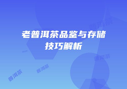 老普洱茶品鉴与存储技巧解析