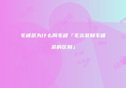 毛峰茶为什么叫毛峰「毛尖茶和毛峰茶的区别」