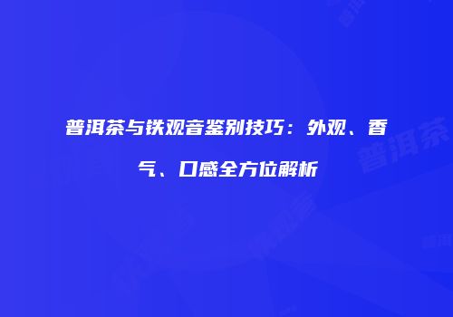普洱茶与铁观音鉴别技巧：外观、香气、口感全方位解析