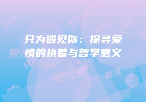 只为遇见你：探寻爱情的执着与哲学意义