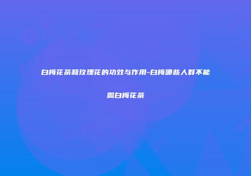 白梅花茶和玫瑰花的功效与作用-白梅哪些人群不能喝白梅花茶
