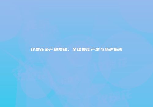 玫瑰花茶产地揭秘：全球最佳产地与品种指南