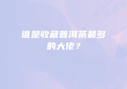 谁是收藏普洱茶最多的大佬？