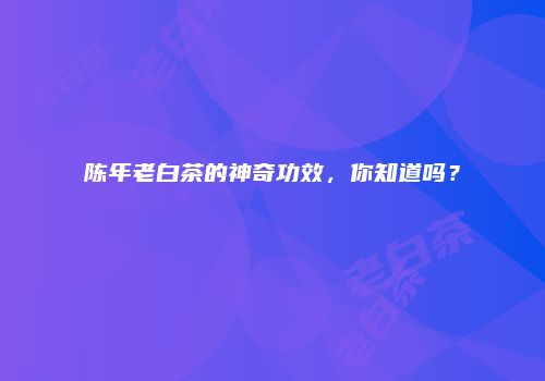 陈年老白茶的神奇功效，你知道吗？