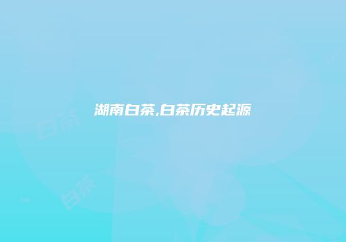 湖南白茶,白茶历史起源