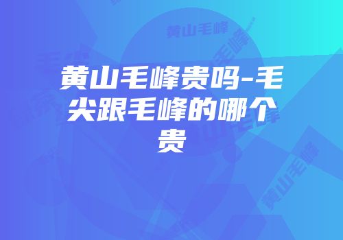 黄山毛峰贵吗-毛尖跟毛峰的哪个贵