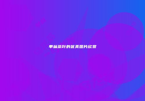 单枞茶叶的优美图片欣赏