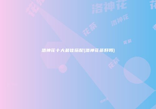 洛神花十大最佳搭配(洛神花茶好吗)