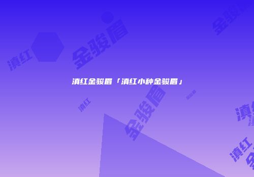 滇红金骏眉「滇红小种金骏眉」