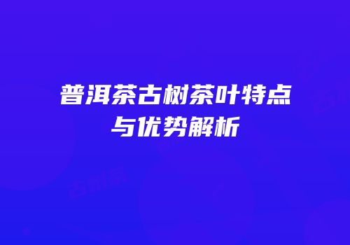 普洱茶古树茶叶特点与优势解析