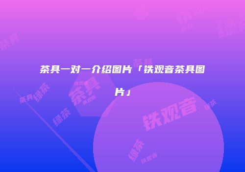 茶具一对一介绍图片「铁观音茶具图片」
