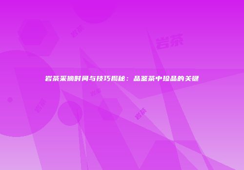 岩茶采摘时间与技巧揭秘：品鉴茶中珍品的关键