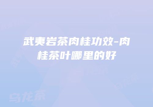 武夷岩茶肉桂功效-肉桂茶叶哪里的好