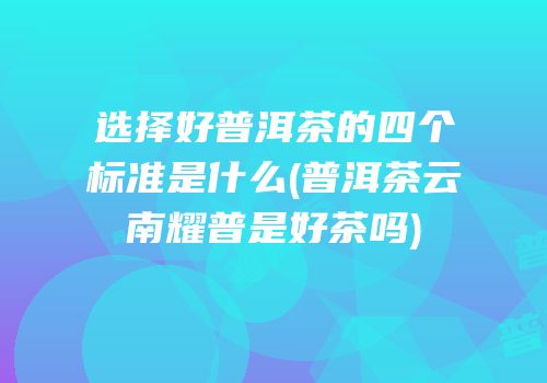 选择好普洱茶的四个标准是什么(普洱茶云南耀普是好茶吗)