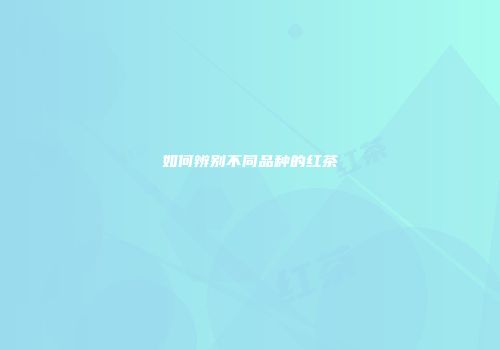如何辨别不同品种的红茶