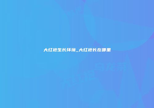 大红袍生长环境_大红袍长在哪里