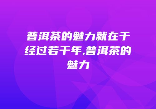 普洱茶的魅力就在于经过若干年,普洱茶的魅力